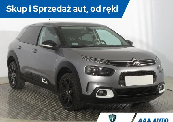 Citroen C4 Cactus cena 58000 przebieg: 64186, rok produkcji 2018 z Ruda Śląska małe 172